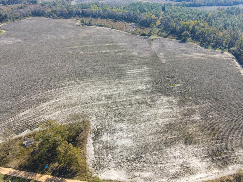 Bowen Hill Farm Photo