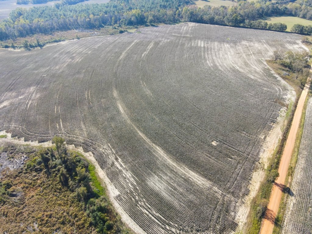 Bowen Hill Farm Photo