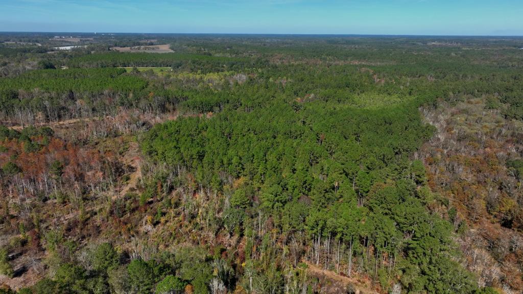 Lotts Creek – Tract 1 Photo