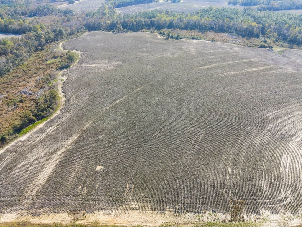 Bowen Hill Farm Photo