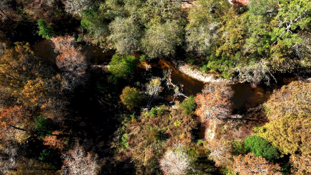 Lotts Creek – Tract 3 Photo