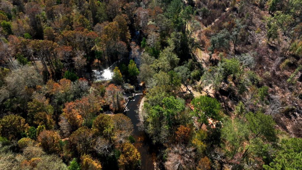 Lotts Creek – Tract 1 Photo