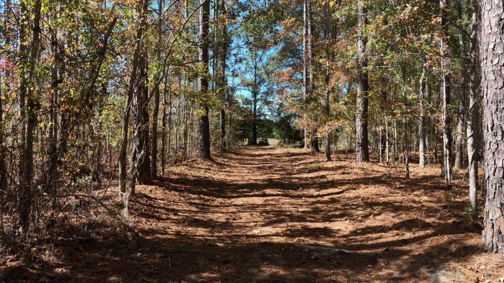 Lotts Creek Tract Photo