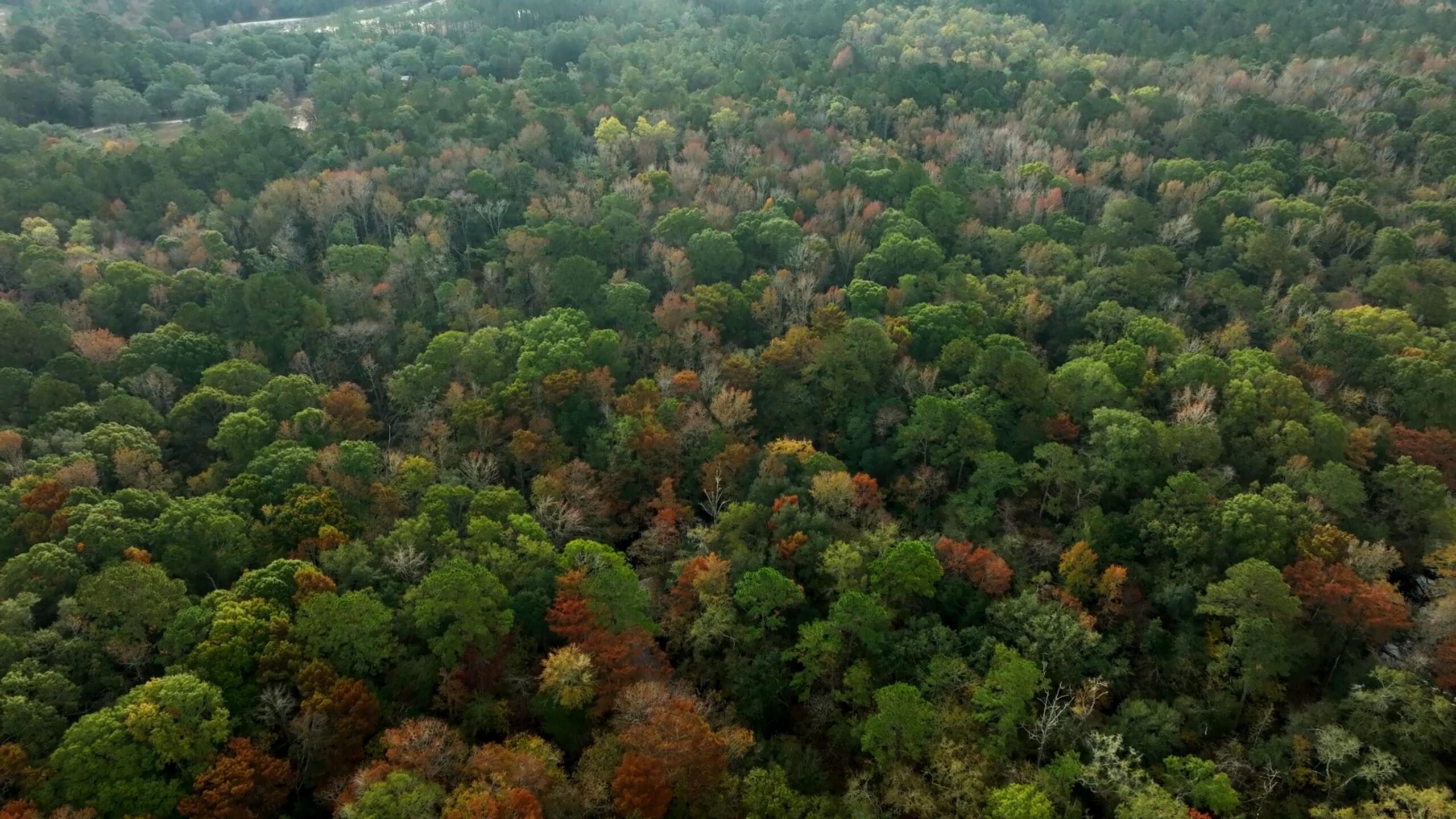 Lotts Creek – Tract 4 Photo