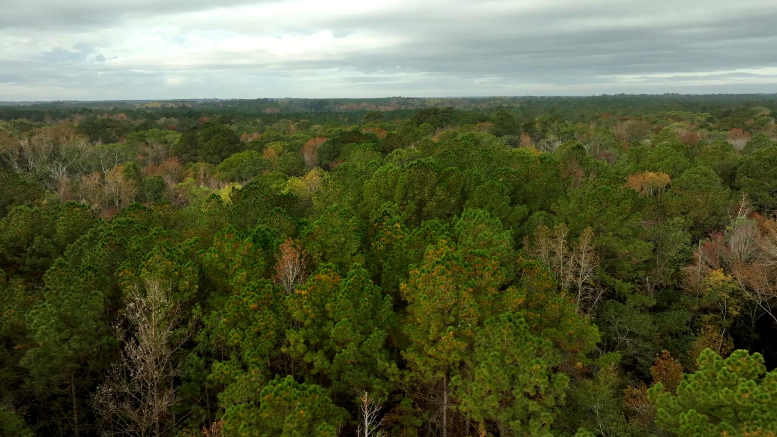 Lotts Creek – Tract 4 Photo