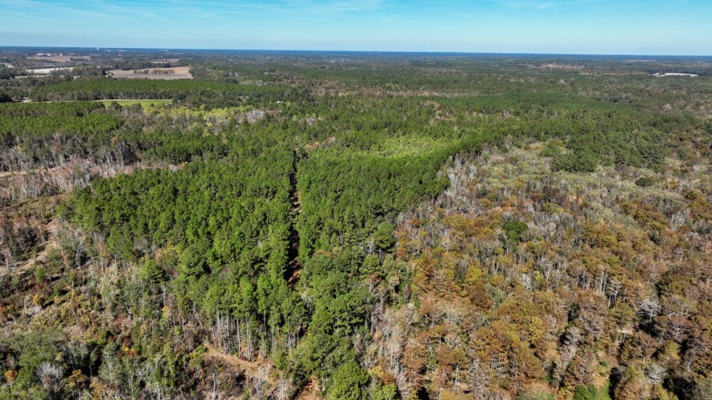Lotts Creek Tract Photo