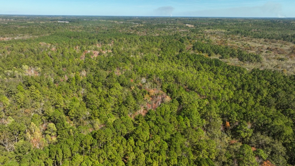 Lotts Creek Tract Photo