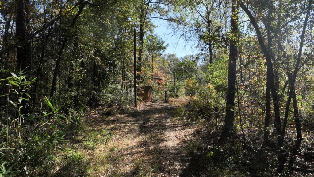 Lotts Creek Tract Photo