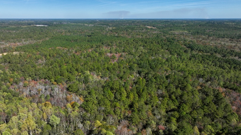 Lotts Creek – Tract 1 Photo