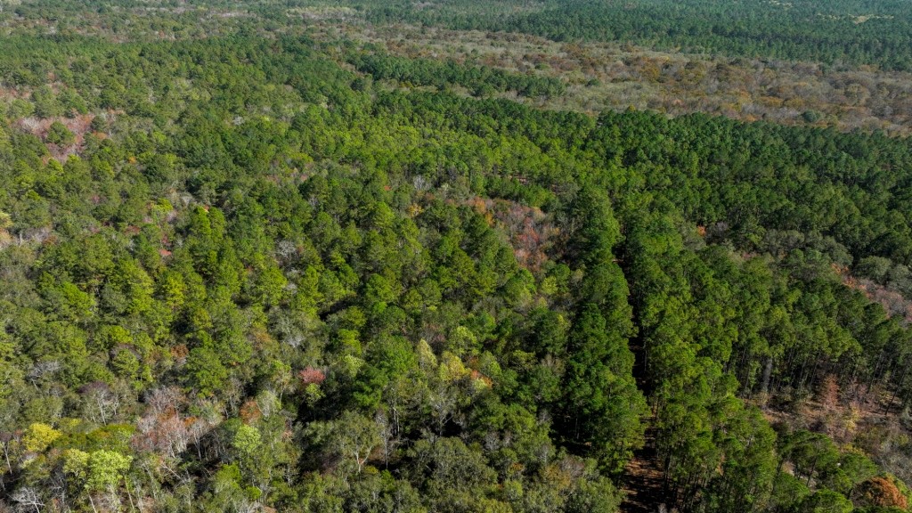 Lotts Creek Tract Photo