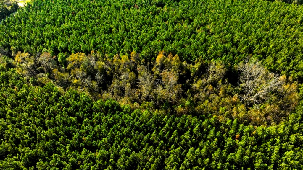 New Light Homeplace Photo