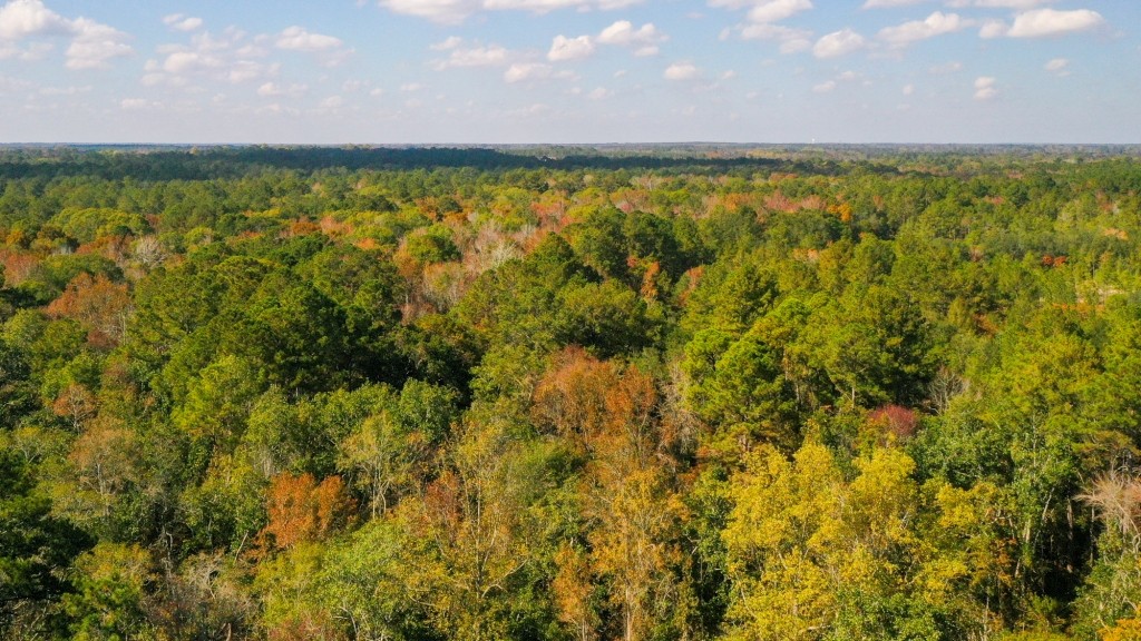 Lotts Creek Tract Photo