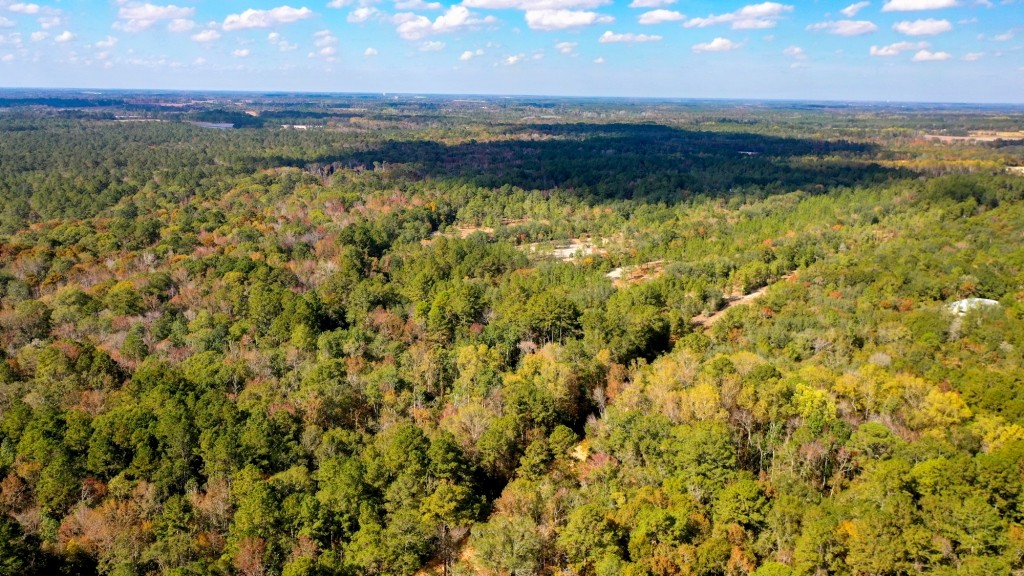 Lotts Creek – Tract 2 Photo