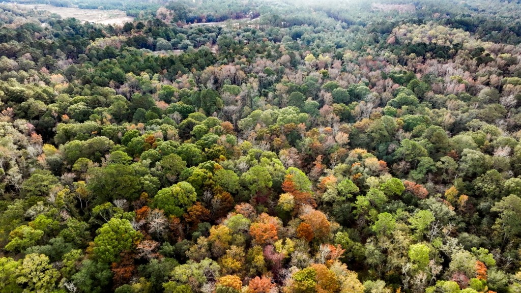 Lotts Creek – Tract 4 Photo