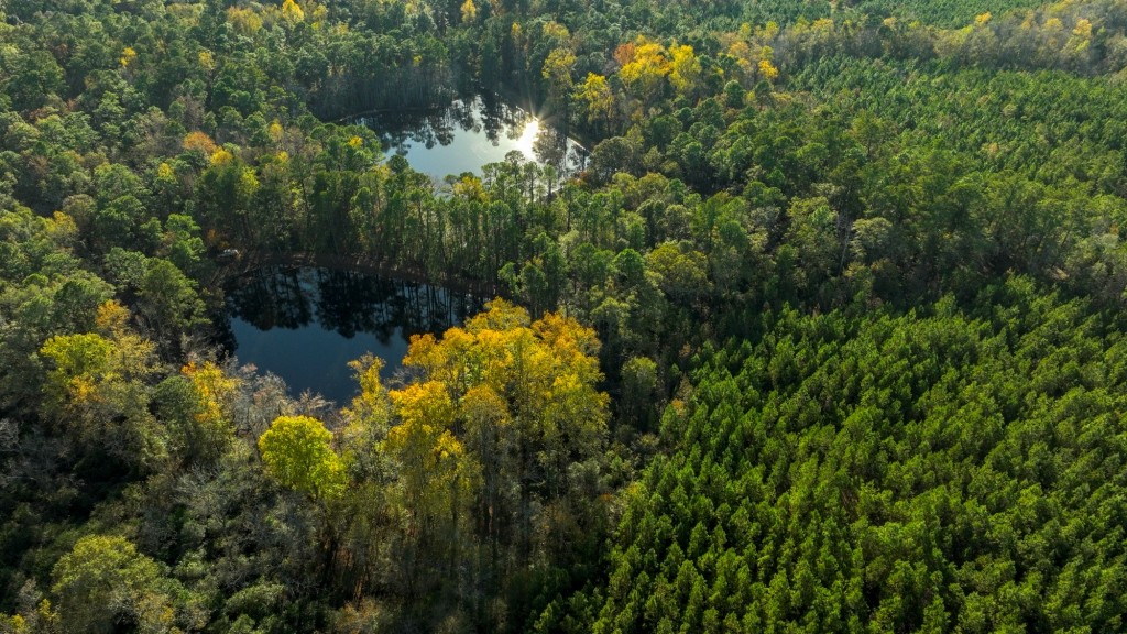 New Light Homeplace Photo