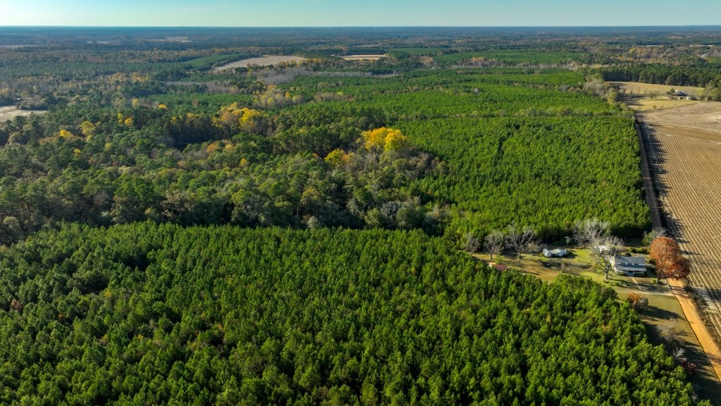 New Light Homeplace Photo