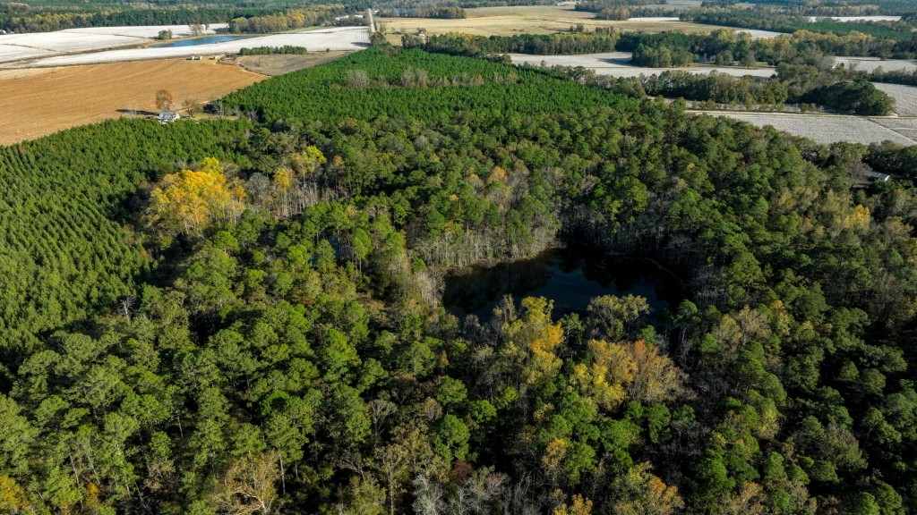 New Light Homeplace Photo