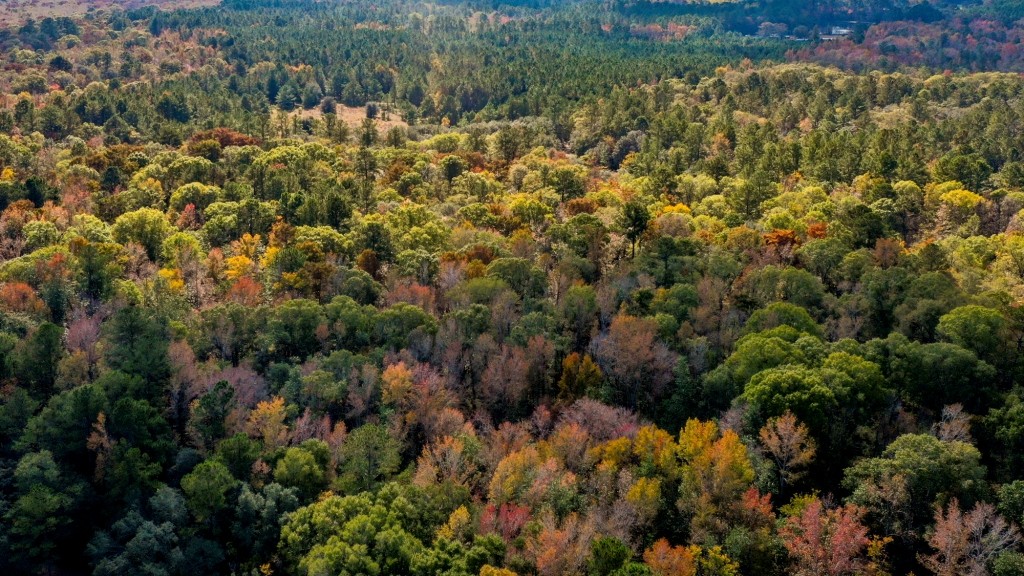 Lotts Creek – Tract 3 Photo