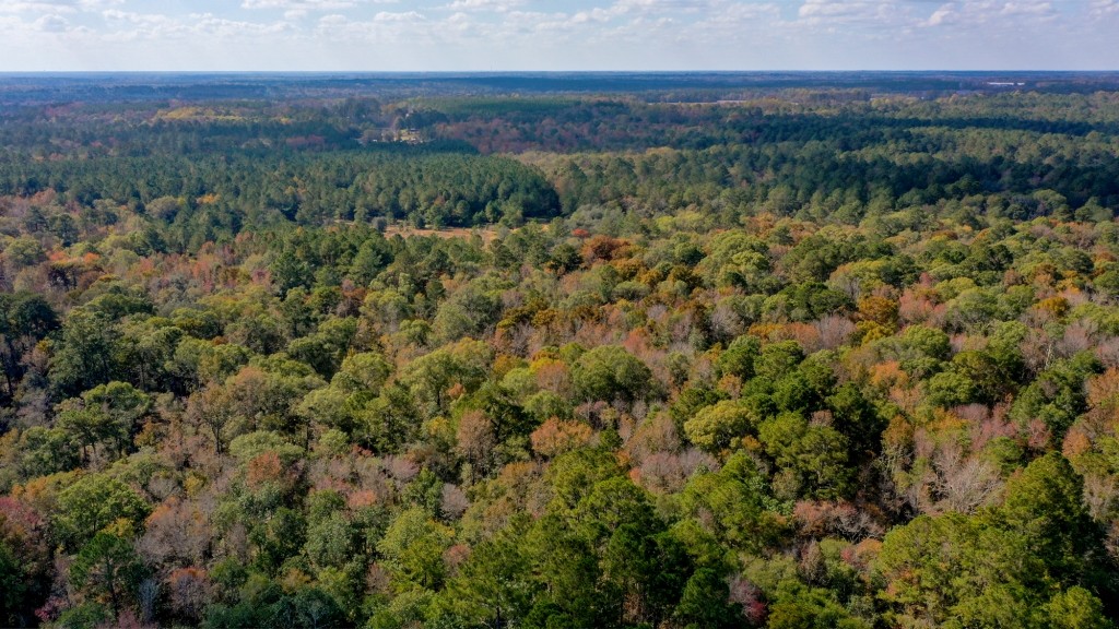 Lotts Creek – Tract 2 Photo