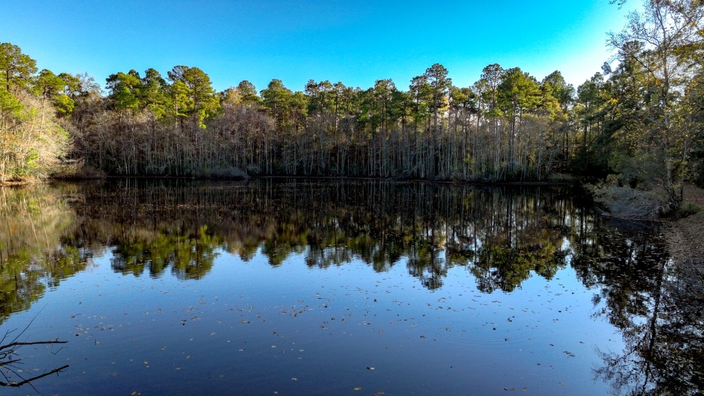 New Light Homeplace Photo