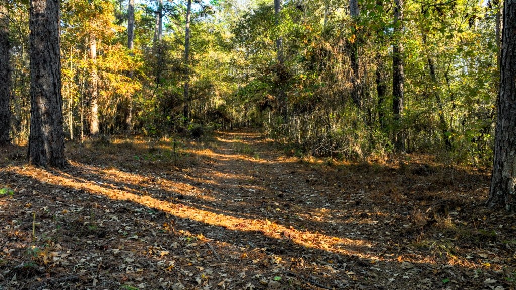 New Light Homeplace Photo