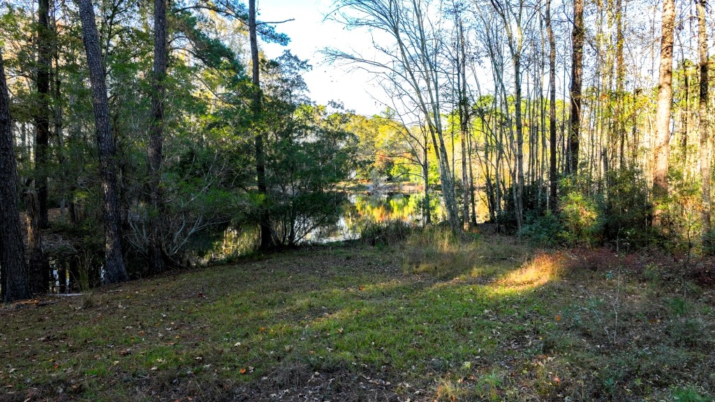 New Light Homeplace Photo