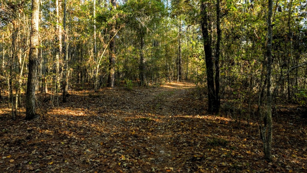 New Light Homeplace Photo