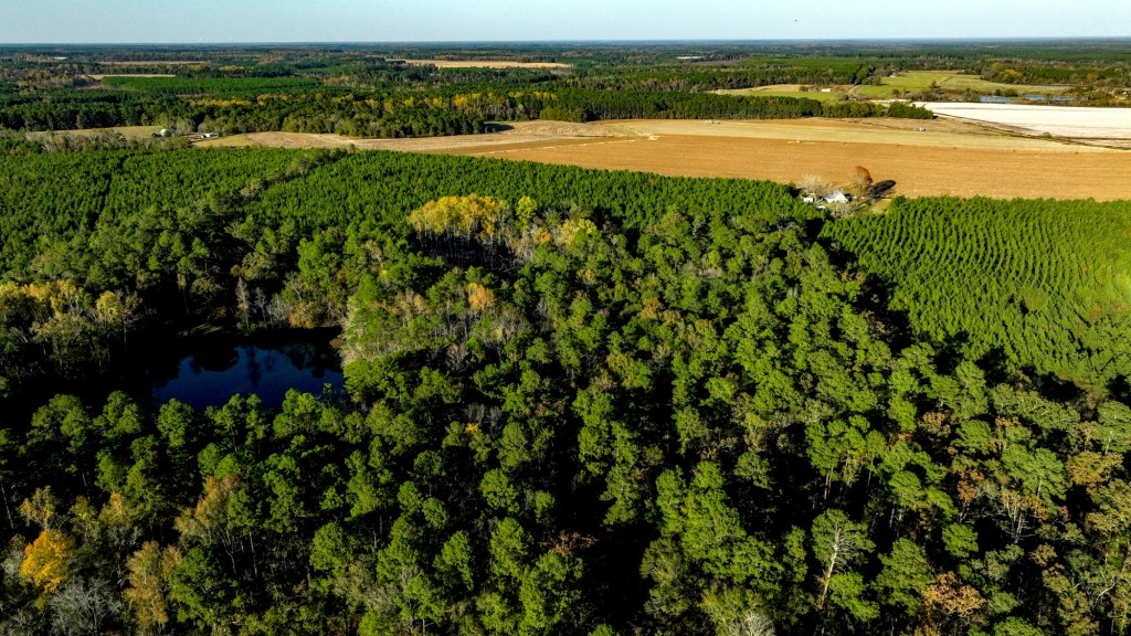 New Light Homeplace Photo