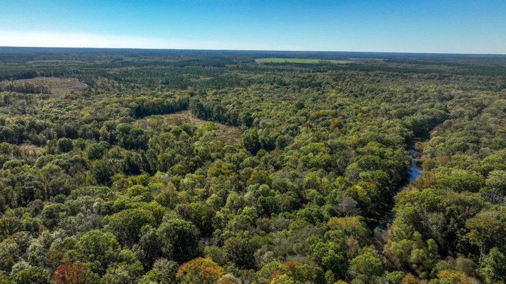 Ogeechee River Plantation – Tract 1 Photo