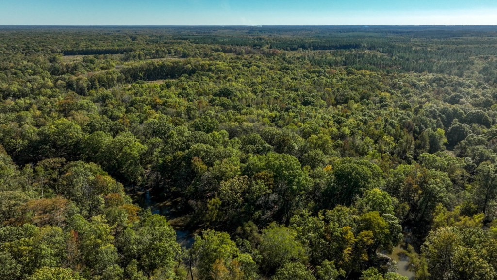 Ogeechee River Plantation – Tract 1 Photo