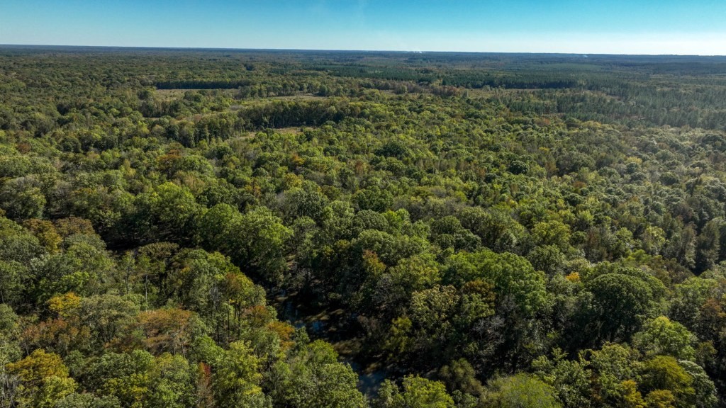 Ogeechee River Plantation – Tract 1 Photo