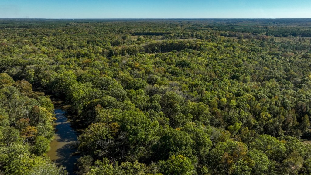 Ogeechee River Plantation – Tract 1 Photo