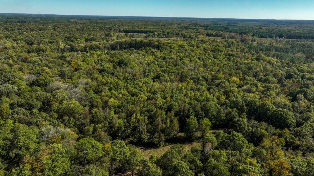 Ogeechee River Plantation – Tract 1 Photo