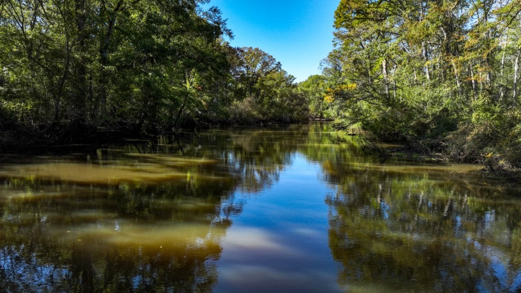 Ogeechee River Plantation – Tract 1 Photo