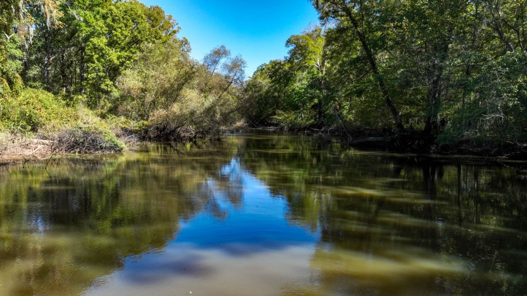 Ogeechee River Plantation – Tract 1 Photo