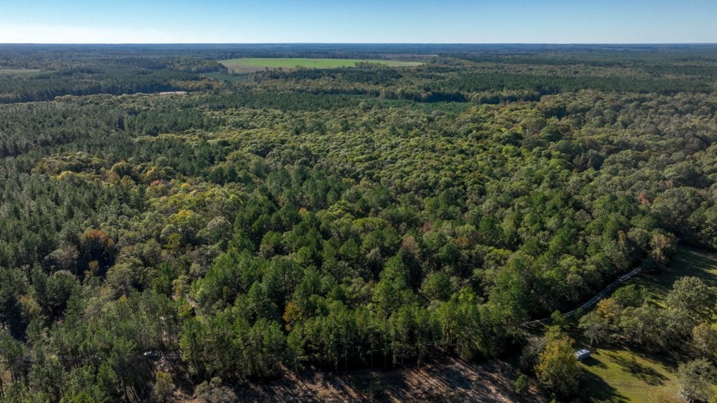 Ogeechee River Plantation – Tract 2 Photo