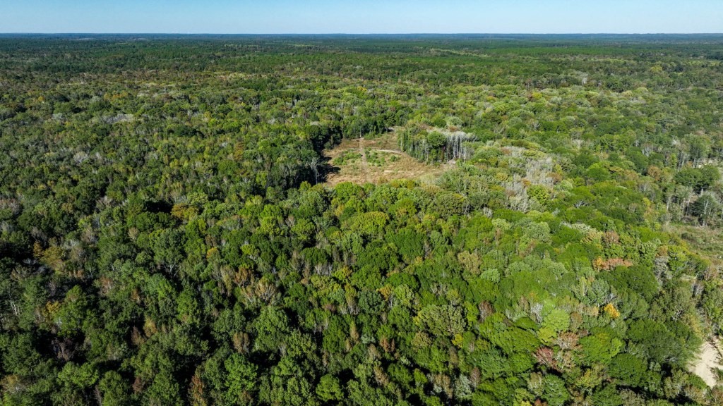 Ogeechee River Plantation – Tract 3 Photo