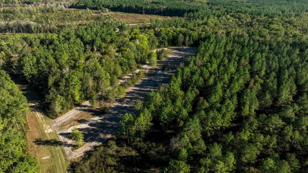 Ogeechee River Plantation – Tract 2 Photo