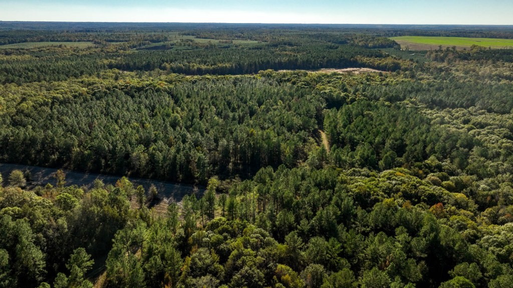 Ogeechee River Plantation – Tract 1 Photo