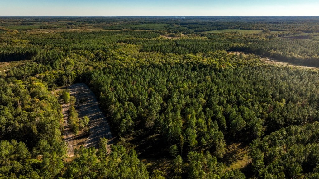 Ogeechee River Plantation – Tract 2 Photo