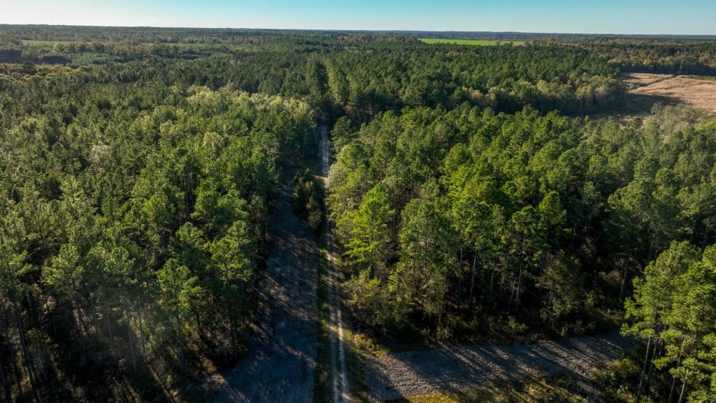 Ogeechee River Plantation – Tract 3 Photo