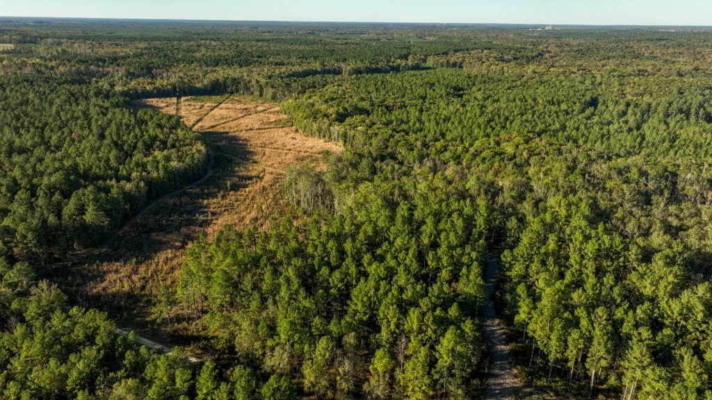 Ogeechee River Plantation – Tract 2 Photo