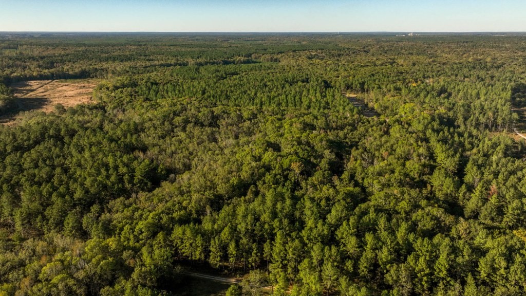 Ogeechee River Plantation – Tract 2 Photo