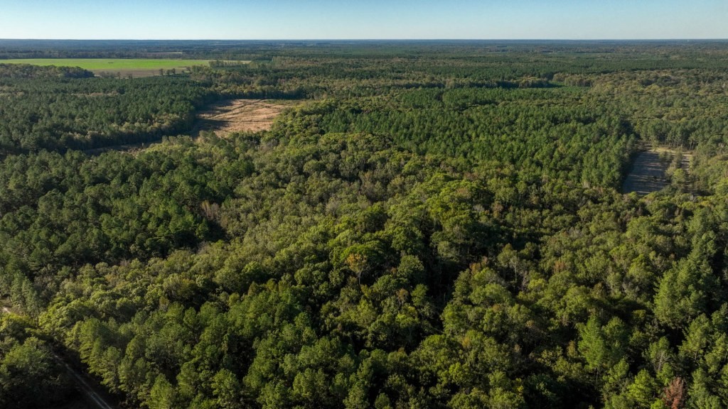 Ogeechee River Plantation – Tract 2 Photo