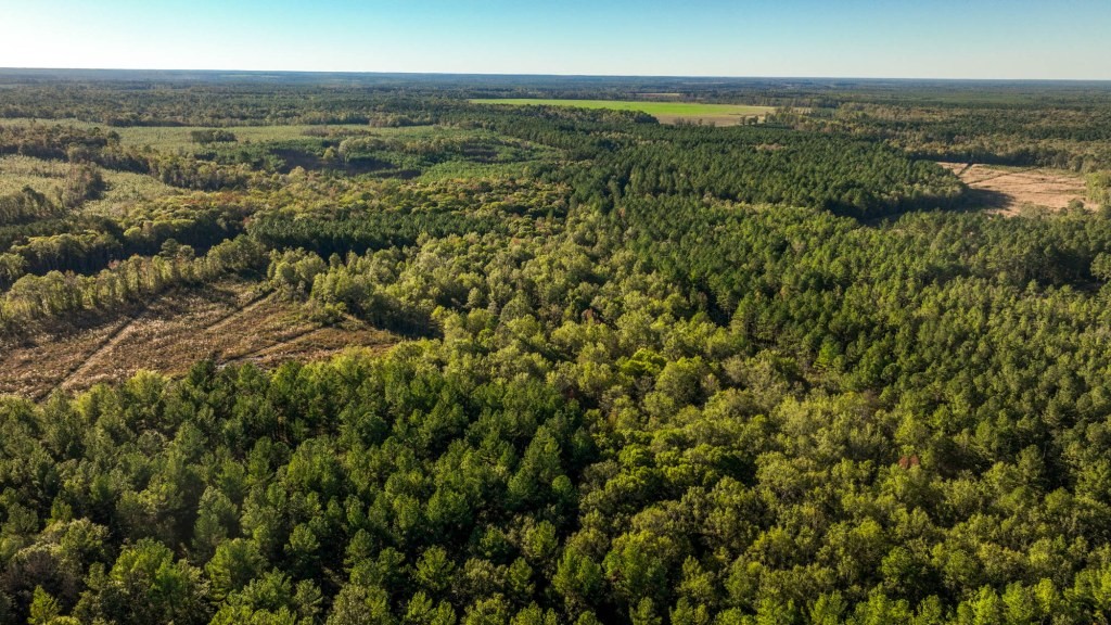 Ogeechee River Plantation – Tract 2 Photo