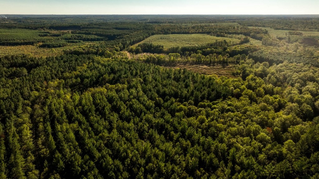 Ogeechee River Plantation – Tract 3 Photo