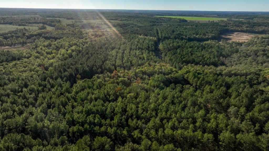 Ogeechee River Plantation – Tract 3 Photo