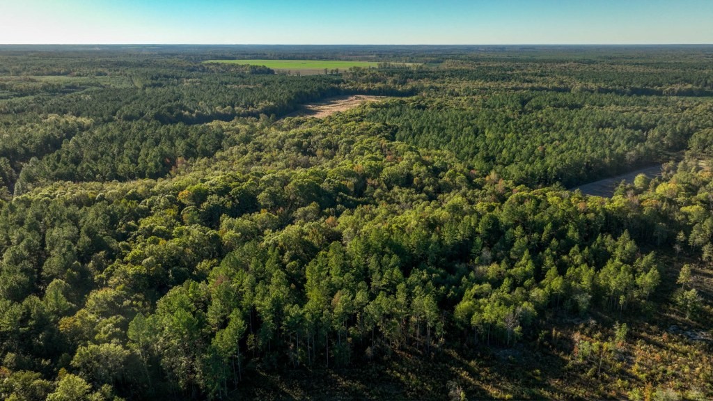 Ogeechee River Plantation – Tract 2 Photo