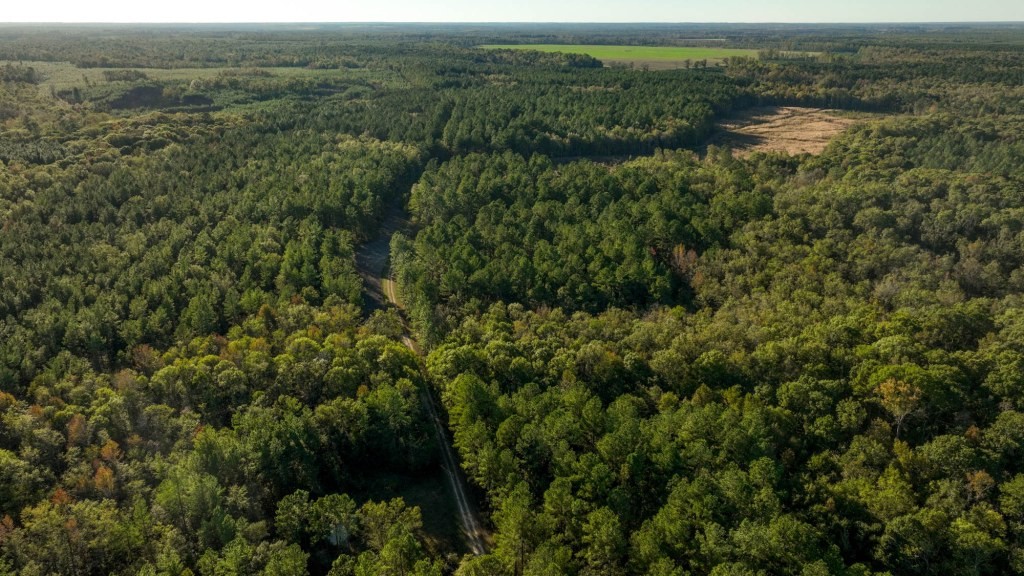 Ogeechee River Plantation – Tract 3 Photo