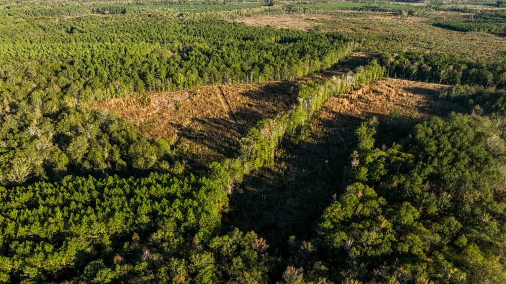 Ogeechee River Plantation – Tract 3 Photo